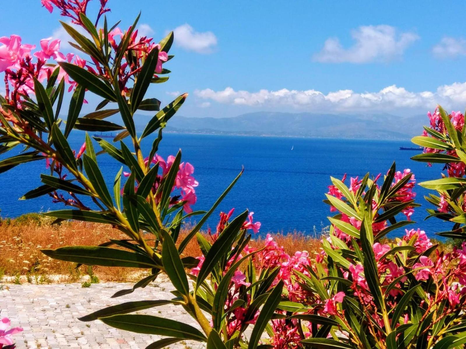 Mavi Panorama Villa Çeşme Eksteriør billede
