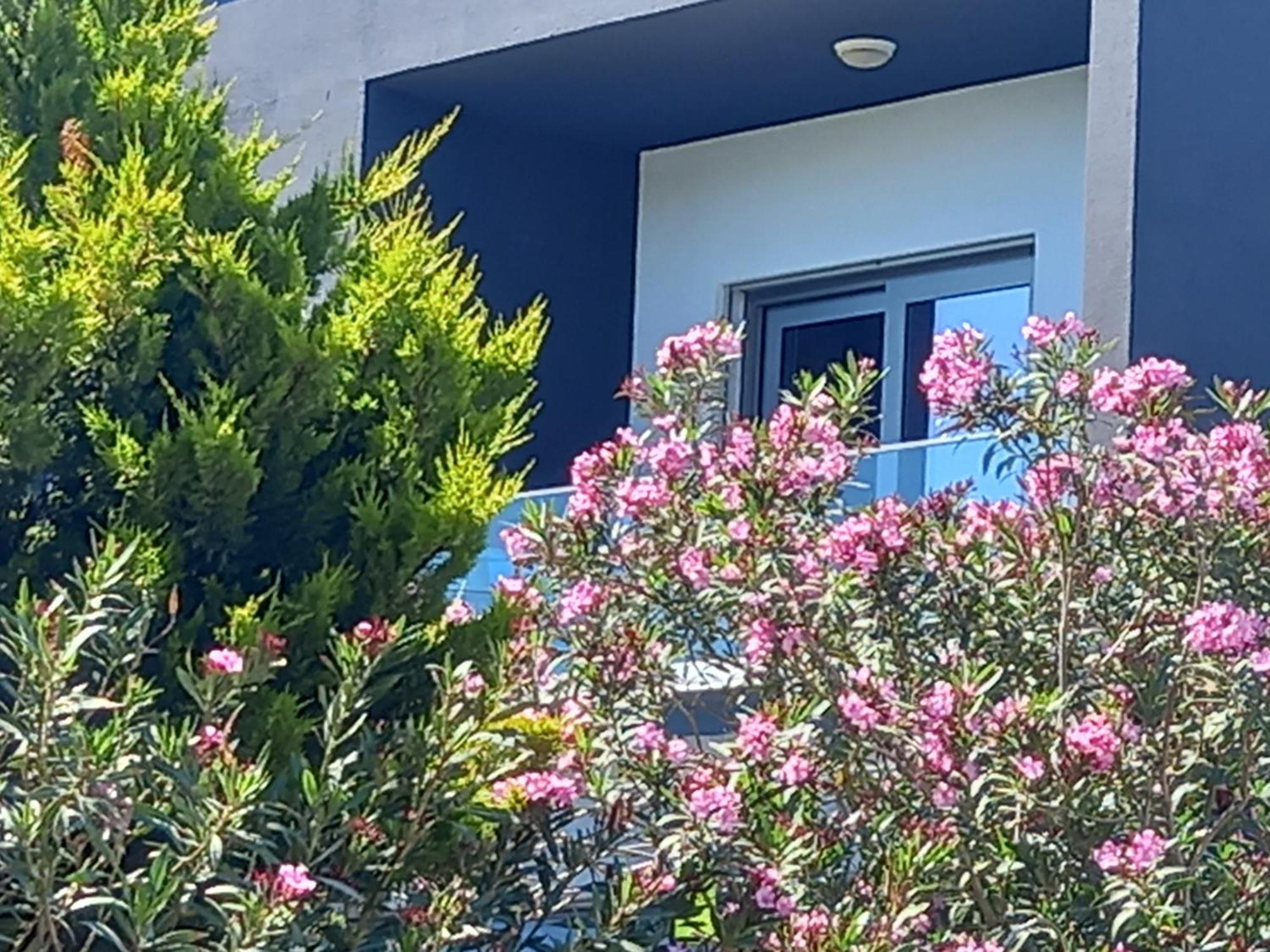 Mavi Panorama Villa Çeşme Eksteriør billede