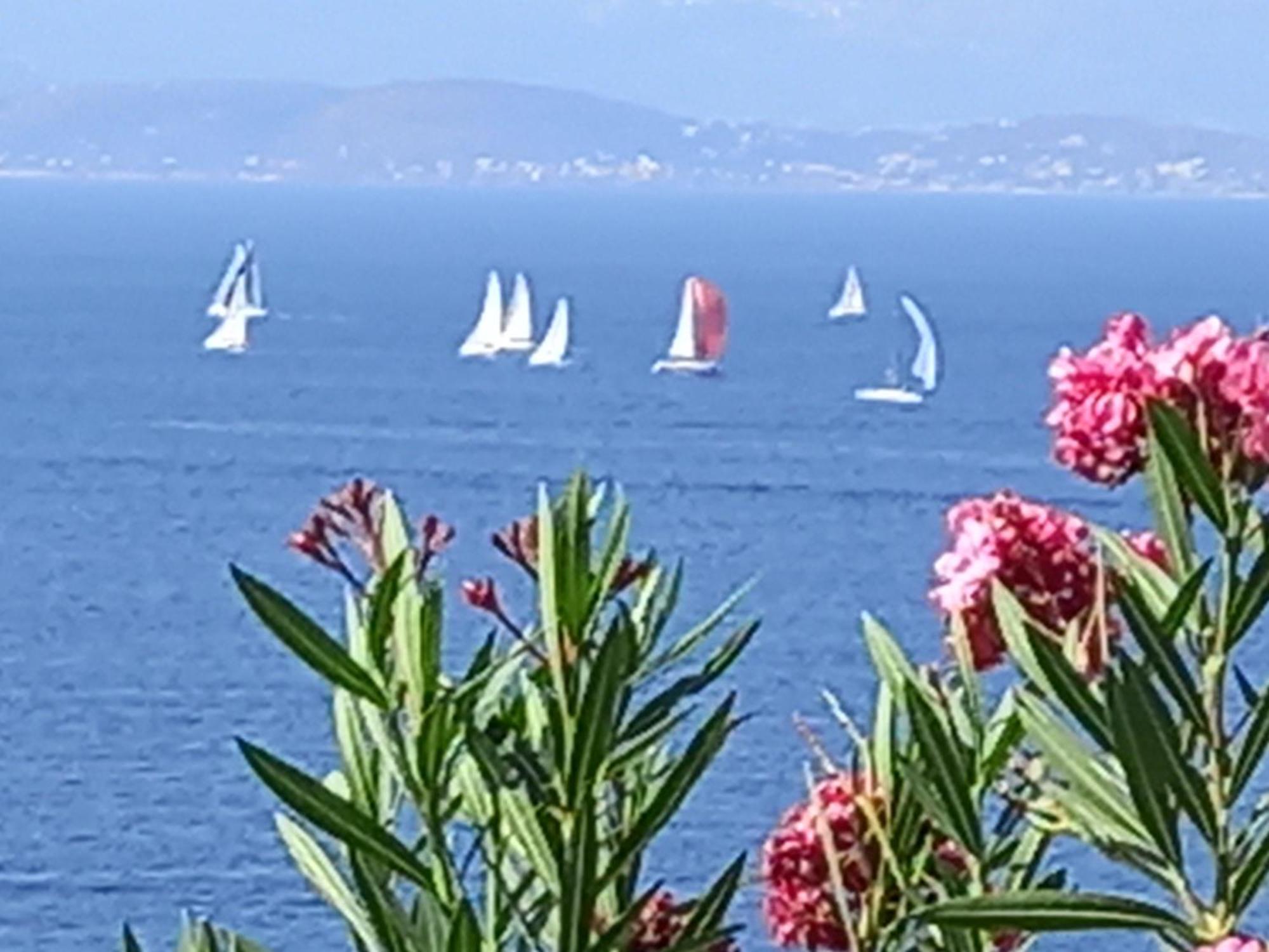 Mavi Panorama Villa Çeşme Eksteriør billede