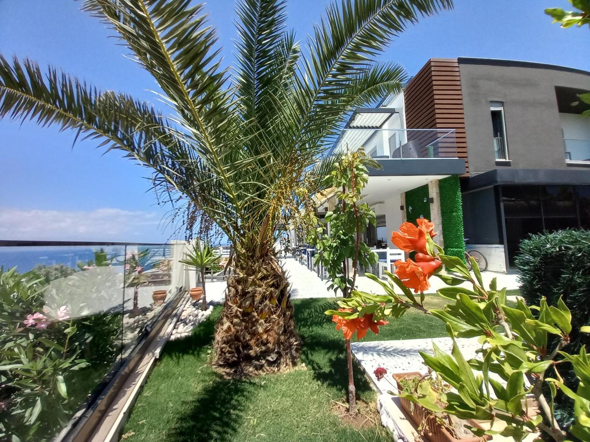 Mavi Panorama Villa Çeşme Eksteriør billede